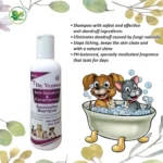 cat shampoo