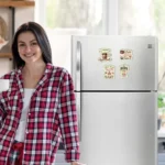 Cute refrigerator magnets India