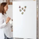 Owl fridge magnets set India